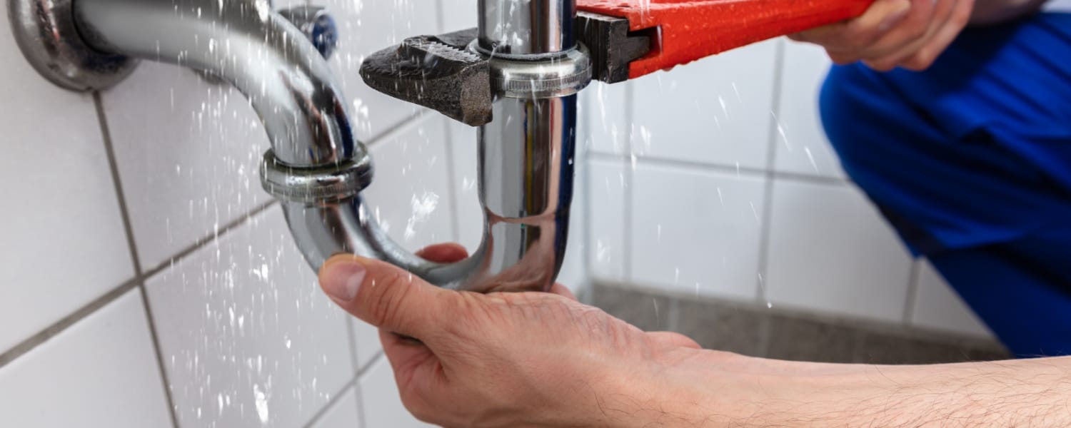 Plumbing Services Lace IL
